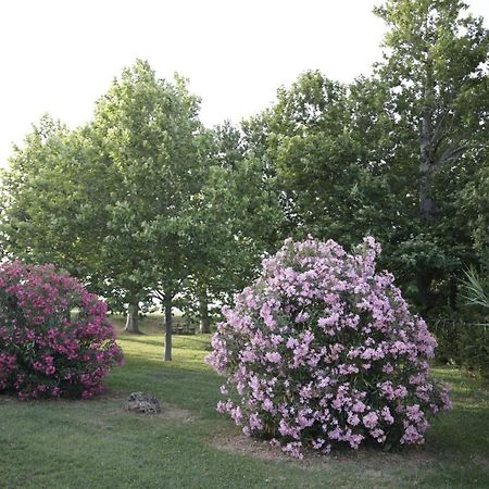 בית הארחה פוטנצה פיצ'נה 	Agriturismo La Fonte Di San Girio מראה חיצוני תמונה