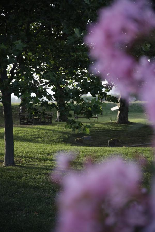 בית הארחה פוטנצה פיצ'נה 	Agriturismo La Fonte Di San Girio מראה חיצוני תמונה